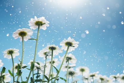 Et vous, ça vous arrive d’avoir comme ça des bouffées de gratitude qui vous font monter au ciel ? Et vous, ça vous arrive d’avoir comme ça des bouffées de gratitude qui vous font monter au ciel ?