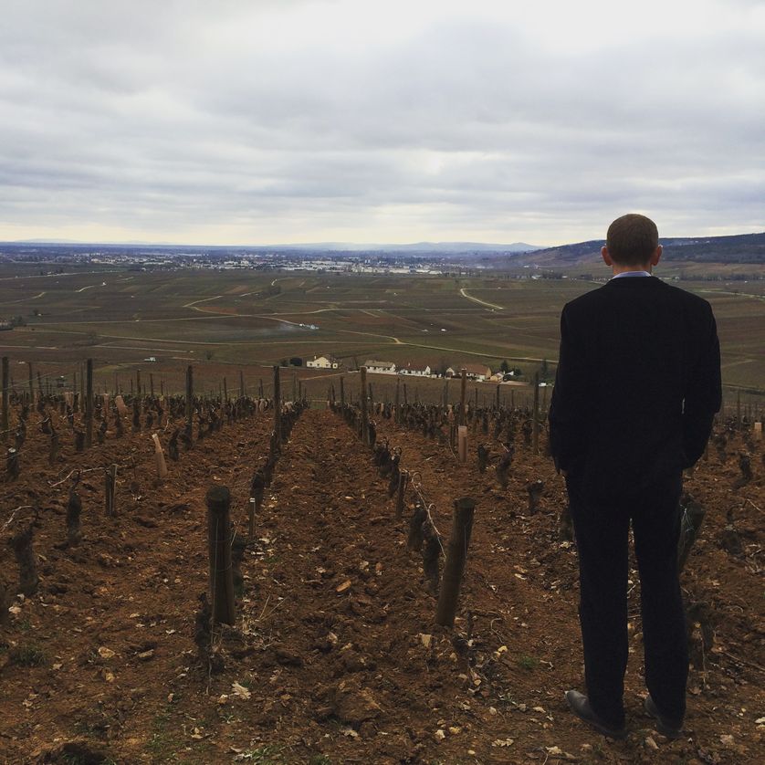 Boris Champy, directeur technique du Domaine Louis Latour, sur la colline de Corton.