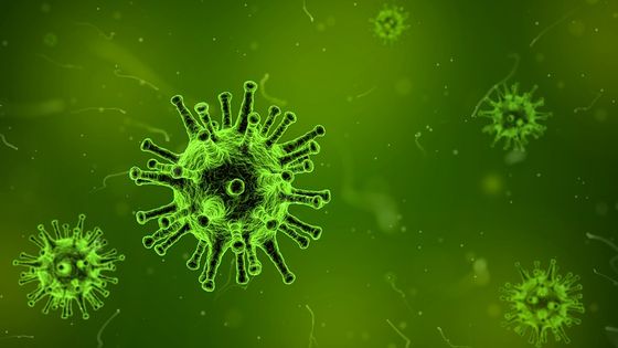 Virus - Qimono / Public Domain