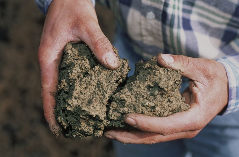 Selon l'INRA, cette motte de terre contient une trentaine de paramètres permettant d’évaluer les propriétés physico-chimiques du champ.