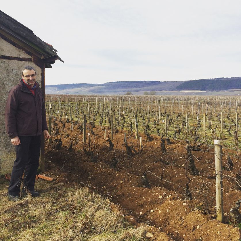 Nicolas Rossignol: "Le prix des vignobles à Gevrey-Chambertin a augmenté de plus de six fois en vingt ans"