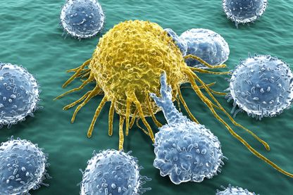 Lympocytes attaquant une cellule cancéreuse, vue d'artiste Lympocytes attaquant une cellule cancéreuse, vue d'artiste