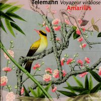 Sonate en trio en ré min twv 42:d10 pour flûte a bec violon et basse continue : Allegro