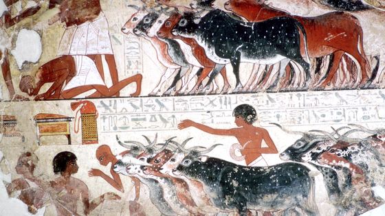 La mort des troupeaux, parmi les dix plaies d'Egypte, fresque de la tombe de Nebamon à Thèbes, conservé au British Museum ©Getty - Print Collector