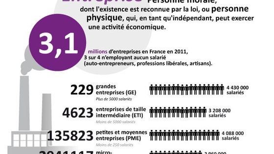 Panorama des entreprises en France selon Insee en 2011. Graphique utilisé dans un précédent sujet sur l’impôt des entreprises ©Radio France - Chadi Romanos