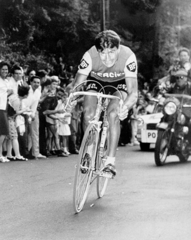 Le Français Raymond Poulidor fournit son effort, le 05 juillet 1966 à Vals-les-Bains, lors de la 2ème demi étape de la 14ème étape du Tour de France, un contre la montre en circuit qu'il remporte en battant son compatriote Jacques Anquetil de 7 seco