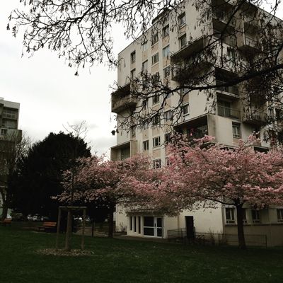 Quartier du Mont-Mesly, Créteil.