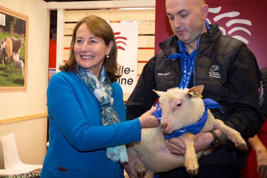 Ségolène Royal, ministre de l'Environnement en train de sourire à côté d'un agneau au Salon de l'Agriculture de Paris, le 26 février 2017.