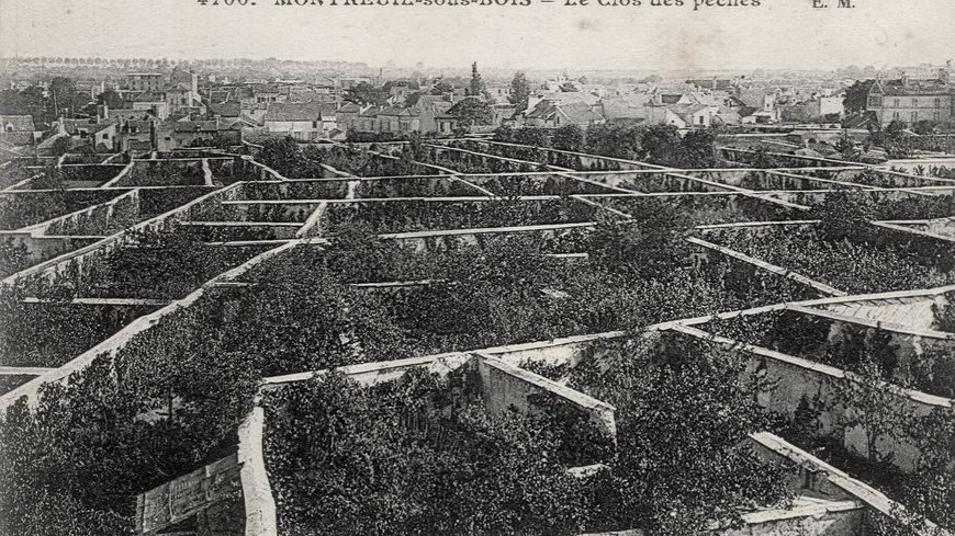 le Clos des pêches Montreuil sous Bois