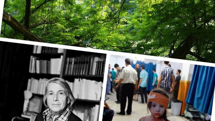 Arbres, Nathalie Sarraute et Syrie.