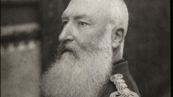 Portrait du roi de Belgique Leopold II (1835-1909) ©AFP - Collection FPL.©Bianchetti/leemage