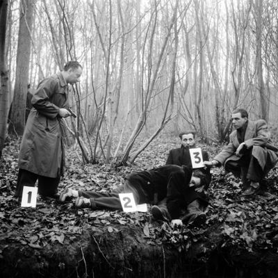 Dans le bois de la fée, près d'Andresy, le 20 décembre 1951. Buisson, le bandit surnommé "Fatalitas, l'ennemi public n°1 reconstitue une scène de crime.