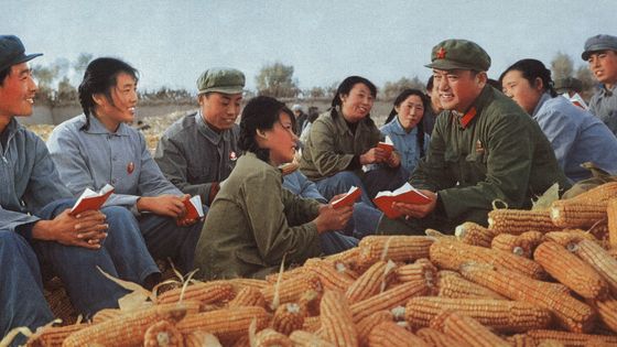 1977 : une groupe d'étudiants fait une lecture du Petit Livre Rouge de Mao Zedong, au cours d'une pause pendant leur enseignement agricole ©AFP - Leemage