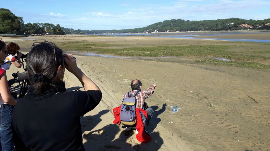 Cathy castéra observe les oiseaux au lac d'Hossegor