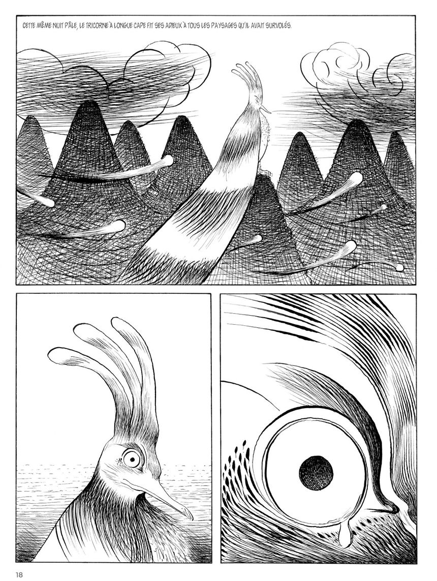Planche extraite de l’album « Guirlanda » de Mattotti et Kramsky
