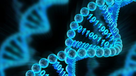 Stocker de l'information dans l'ADN - CNRS