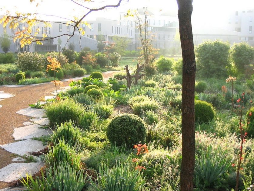 ENS Lyon, jardin de la communication
