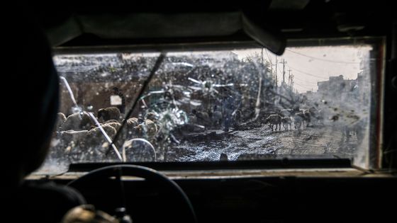 Vue de l'intérieur d'un véhicule de l'armée irakienne à Mossoul ©AFP - DIMITAR DILKOFF