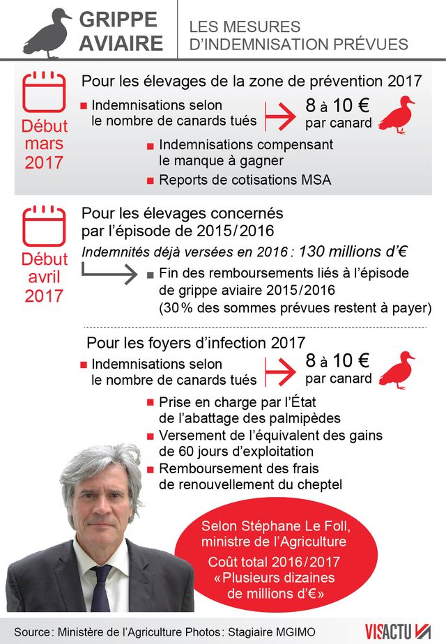 Grippe aviaire : quelles indemnisations ?