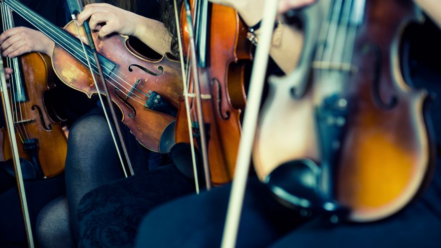 Violons et archets