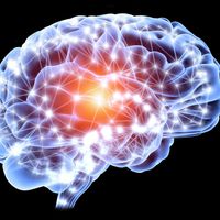 Représentation de l'activité neuronale du cerveau