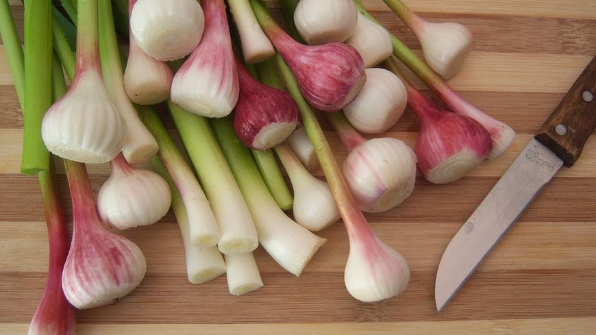 recettes