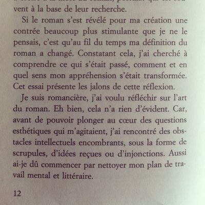 Extrait de "Rouvrir le roman" de Sophie Divry, p. 12