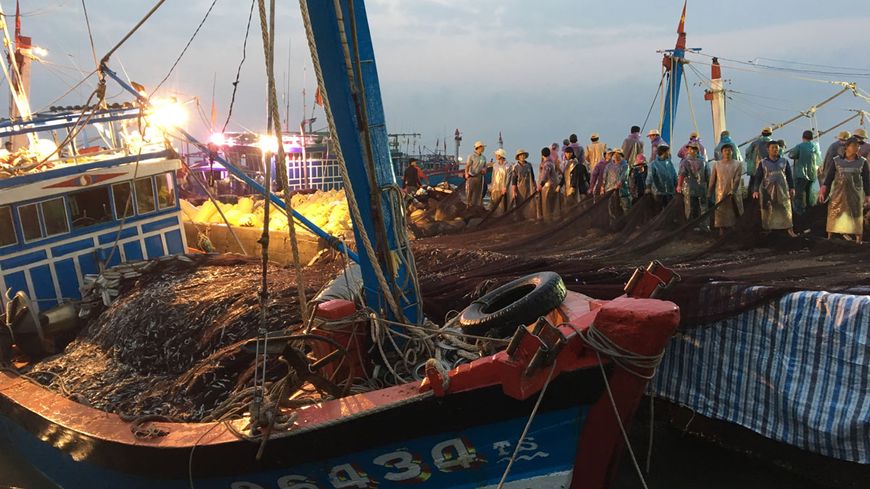 Arrivée des bateaux de pêche vietnamiens sur l'île de Ly Son
