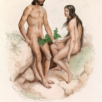 Gravure, illustration tirée de l' ouvrage "Oeuvres complètes de Buffon" avec la nomenclature Linneene et la classification de Cuvier - Histoire naturelle de l' Homme : l' Homme et la Femme