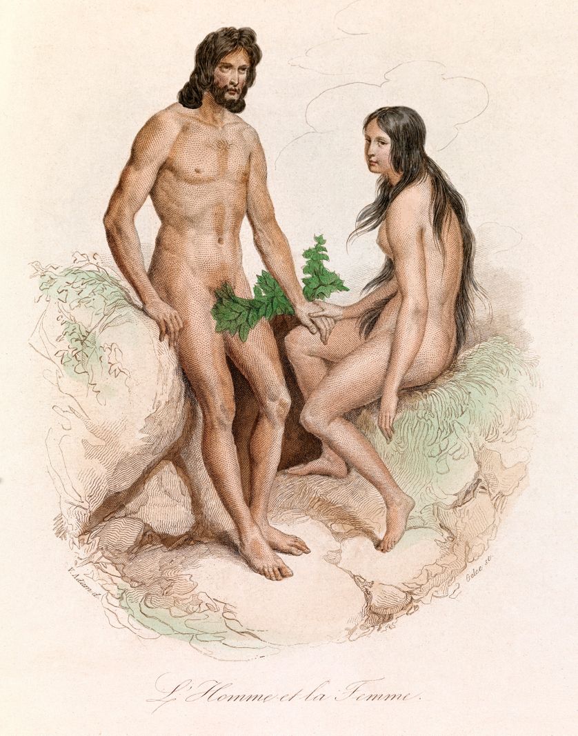 Gravure, illustration tirée de l' ouvrage "Oeuvres complètes de Buffon" avec la nomenclature Linneene et la classification de Cuvier - Histoire naturelle de l' Homme : l' Homme et la Femme