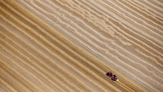 Dans le Nord de la France. ©Reuters - Pascal Rossignol