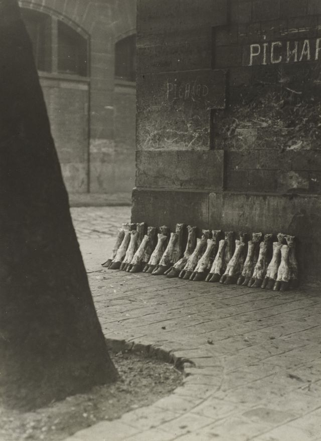 Aux abattoirs de la Villette, 1929