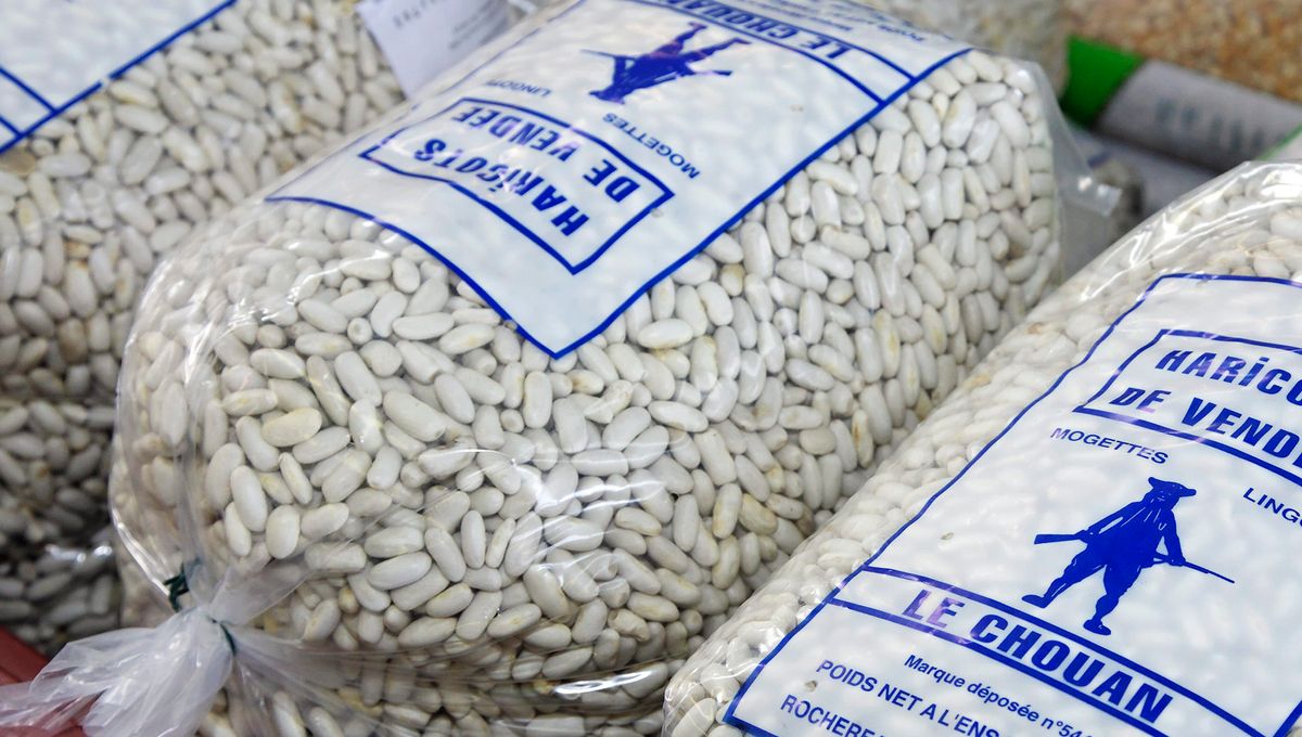 Le Financier Aux Mogettes Et Au Citron