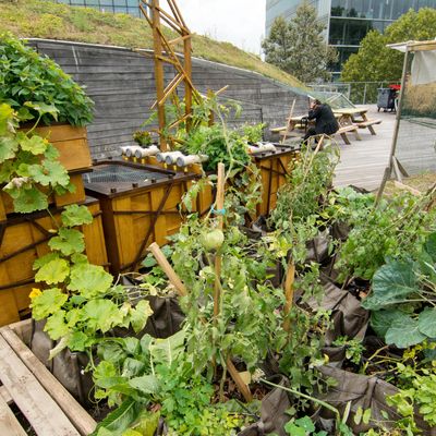 Côté jardin !!!