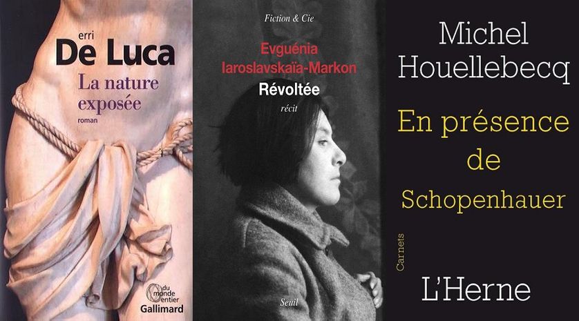 Couvertures de:"La nature exposée", "Révoltée" et "En présence de Schopenhauer"