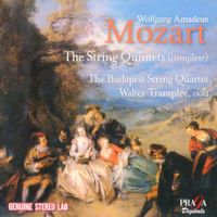 Quintette à cordes n°1 en Si bémol Maj K 174 : Adagio