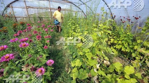 Ferme biologique ©AFP - MYCHELE DANIAU