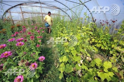 Ferme biologique