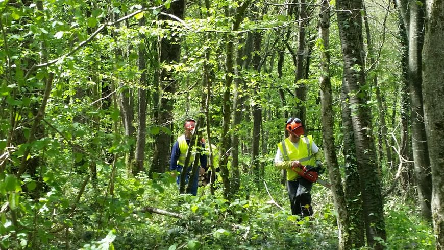 D'anciens chômeurs de longue durée revenus à l'emploi dans la Nièvre