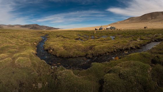 Paysage de Mongolie ©Getty - Chalermkiat Seedokmai