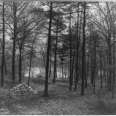 Photographie en noir et blanc de la « baie de Thoreau » (« Thoreau's Cove » en anglais), lieu où l'auteur de Walden édifia sa maisonnette.