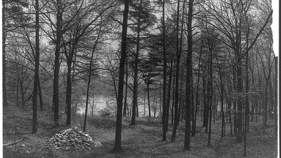Photographie en noir et blanc de la « baie de Thoreau » (« Thoreau's Cove » en anglais), lieu où l'auteur de Walden édifia sa maisonnette. - Detroit Publishing Co