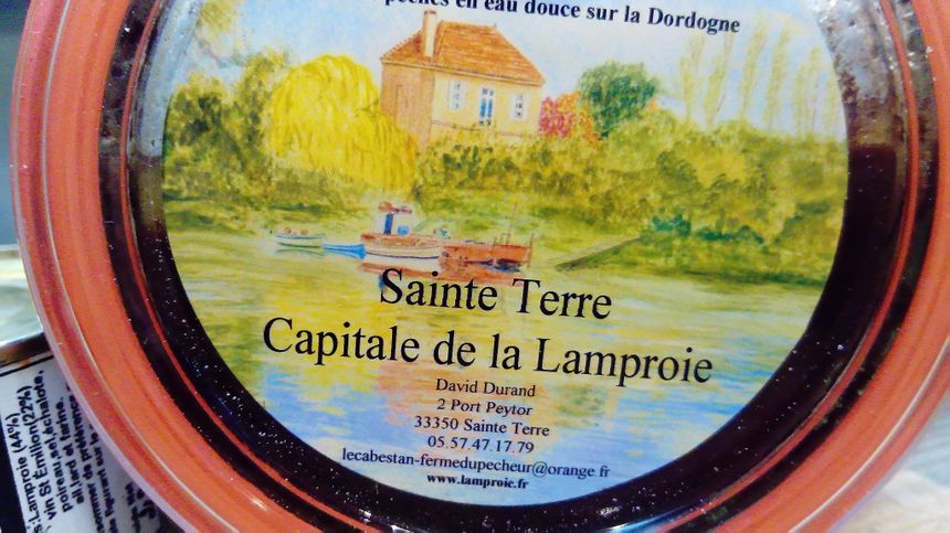 Conserve de Lamproie