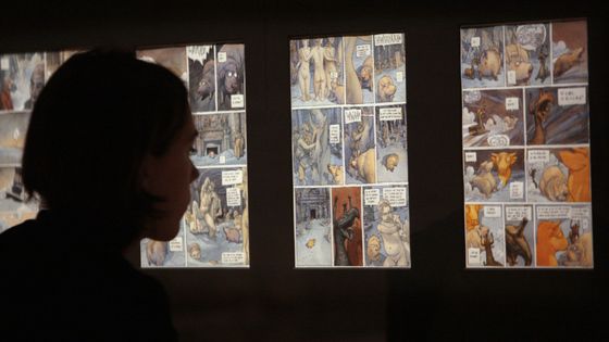 Un visiteur regarde, le 21 janvier 2009 au musée du Louvre à Paris, des planches de la bande dessinée "Période glaciaire" de Nicolas de Crécy ©AFP - FRANCOIS GUILLOT