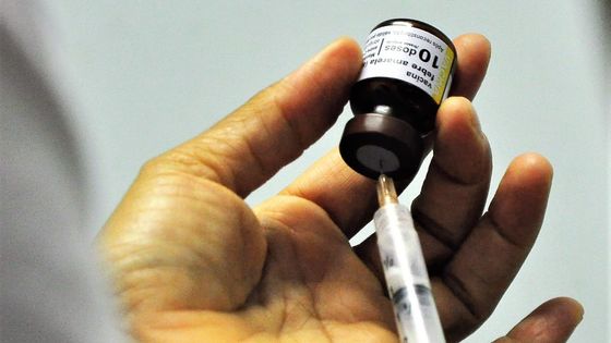 Vaccin ©AFP - Humberto Castro / Citizenside