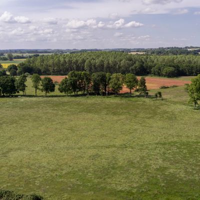 Champs à perte de vue