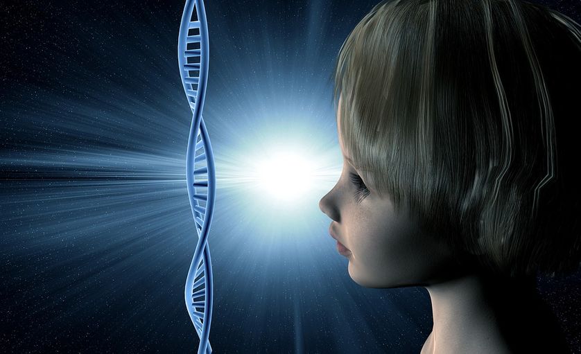 La vie artificielle, conceptuelle