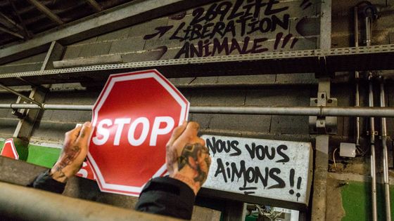Manifestation de l'association "269 Life Libération Animale" ©AFP - NICOLAS LIPONNE / NURPHOTO