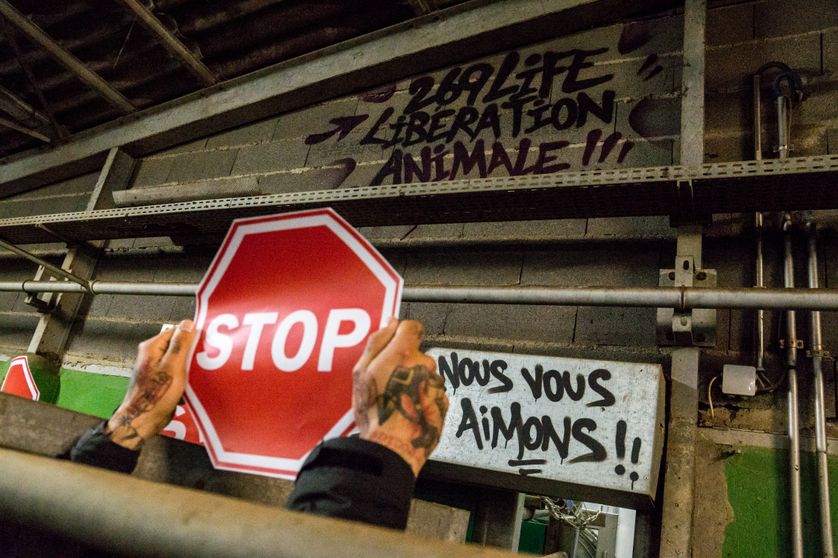 Manifestation de l'association "269 Life Libération Animale"