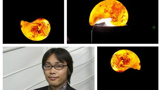 Visuel, Fossiles de Lumière, Naoki Sakata